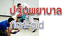 อบรม โมบายเครน